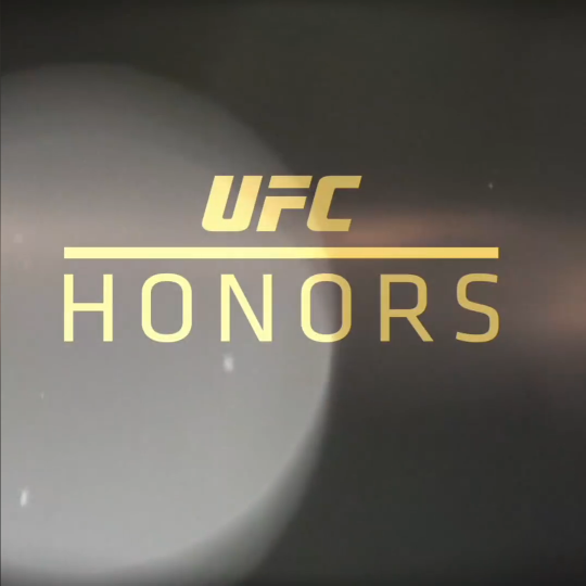 UFC2020年度最佳KO